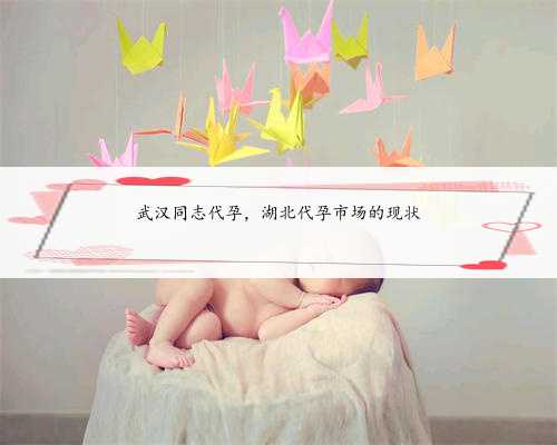 武汉同志代孕，湖北代孕市场的现状