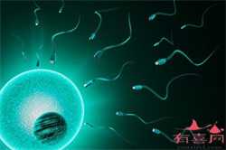 天津供卵可以生男孩吗,2022天津市第一中心医院做三代试管供卵费用全新分享