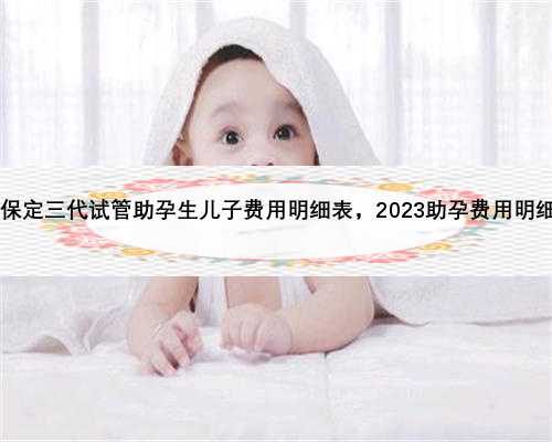 2023保定三代试管助孕生儿子费用明细表，2023助孕费用明细一览